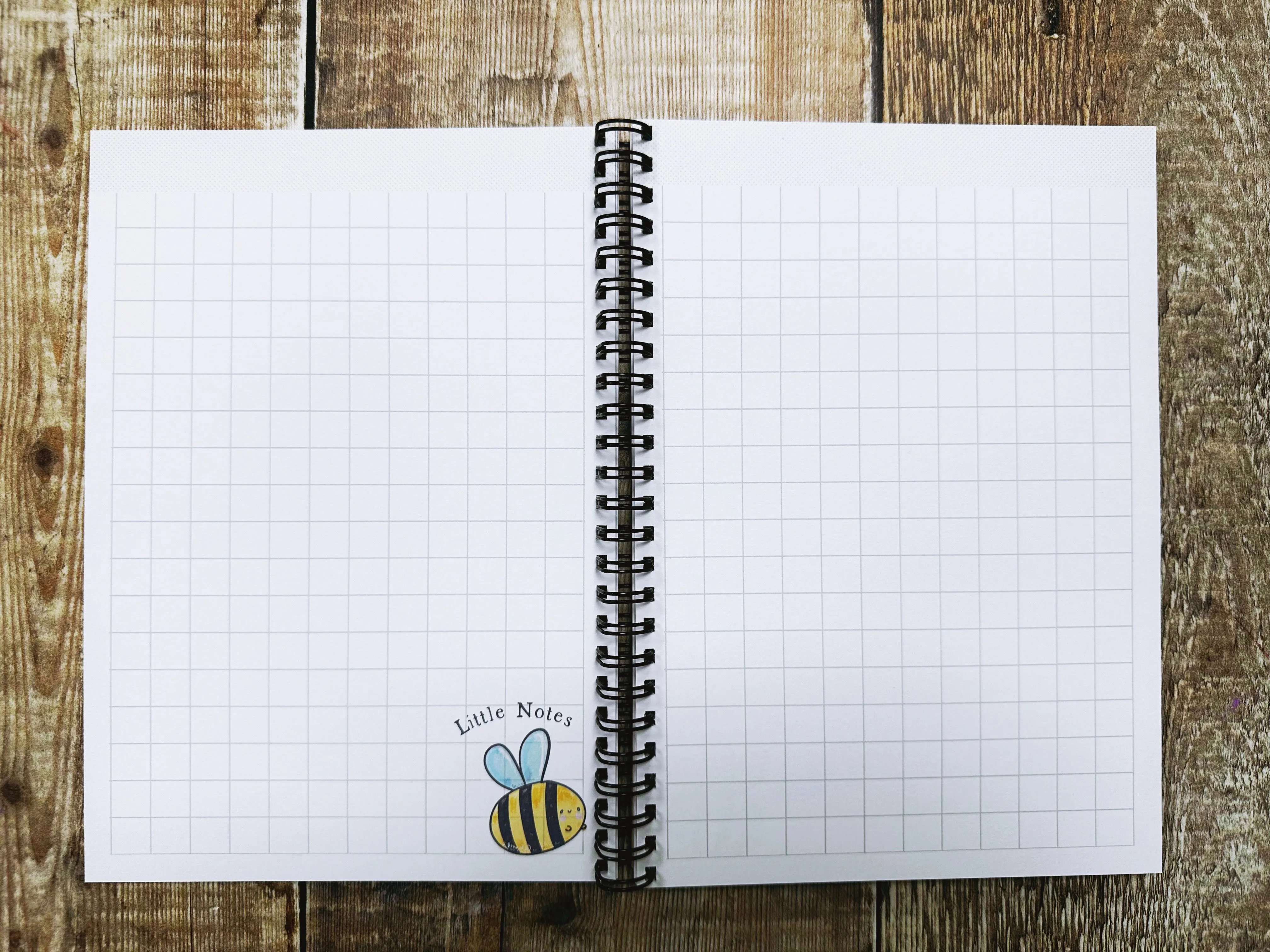 A5 Ring bound Queen's University Belfast Notebook or Planner