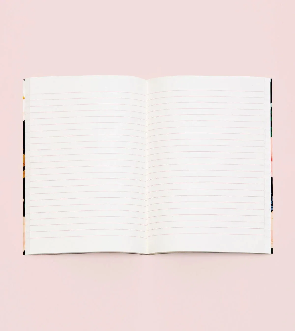 Clap Clap Wild Animals Notebook in Cream - Lined