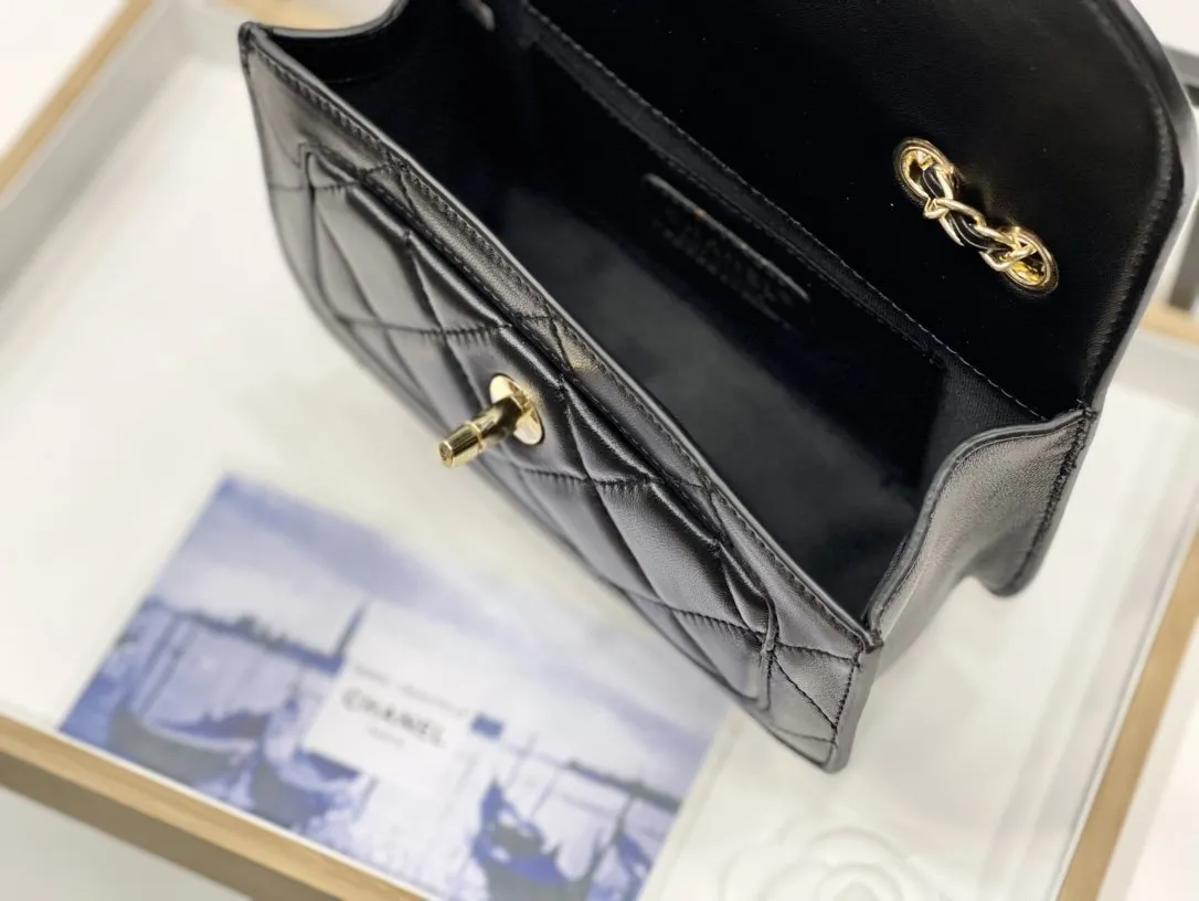 Designer Handbags CL 249