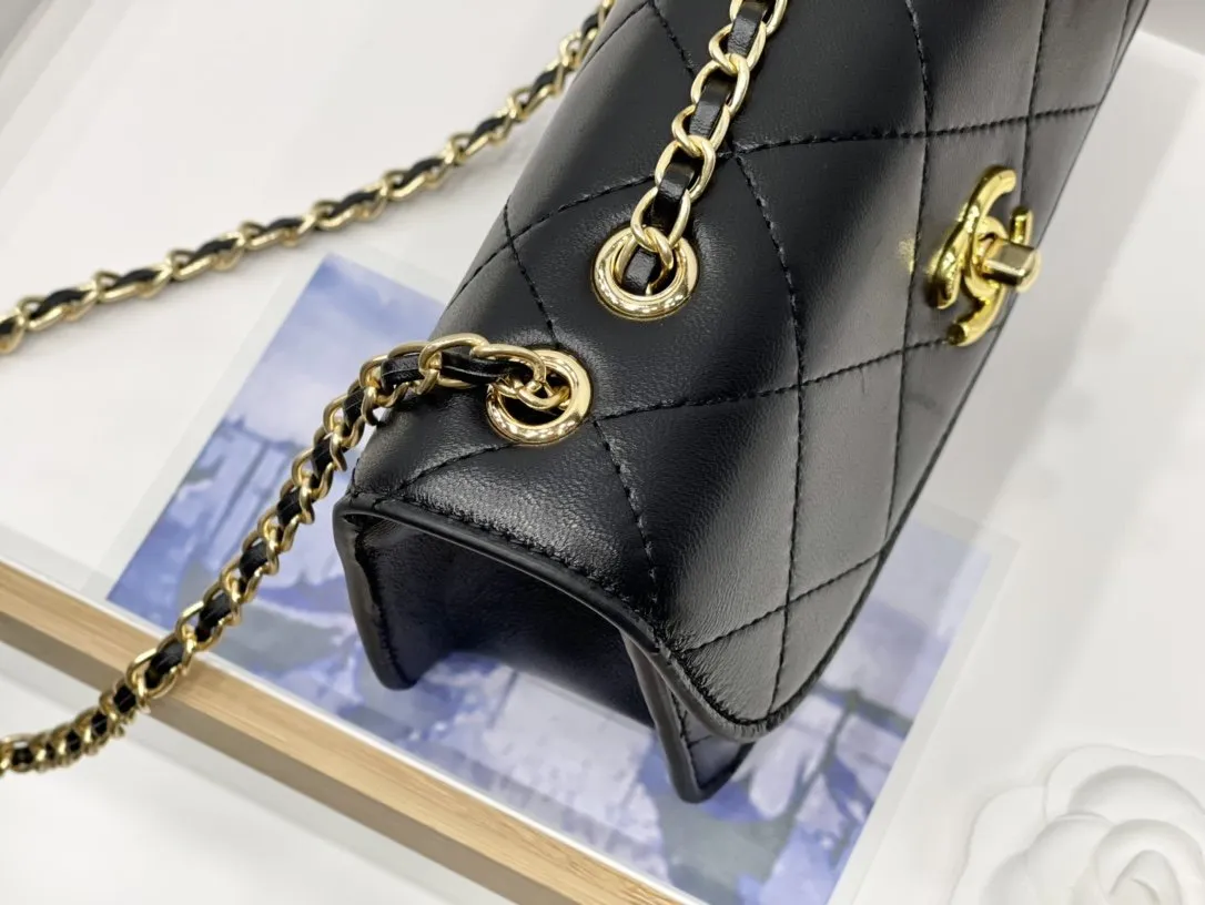 Designer Handbags CL 249