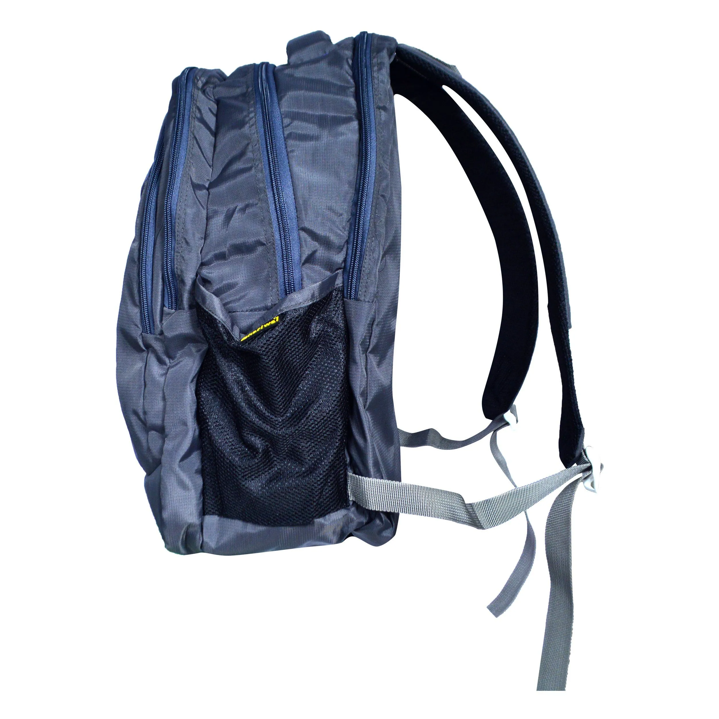 Dhariwal Triple Compartment Backpack with Rain Cover 39L BP-217