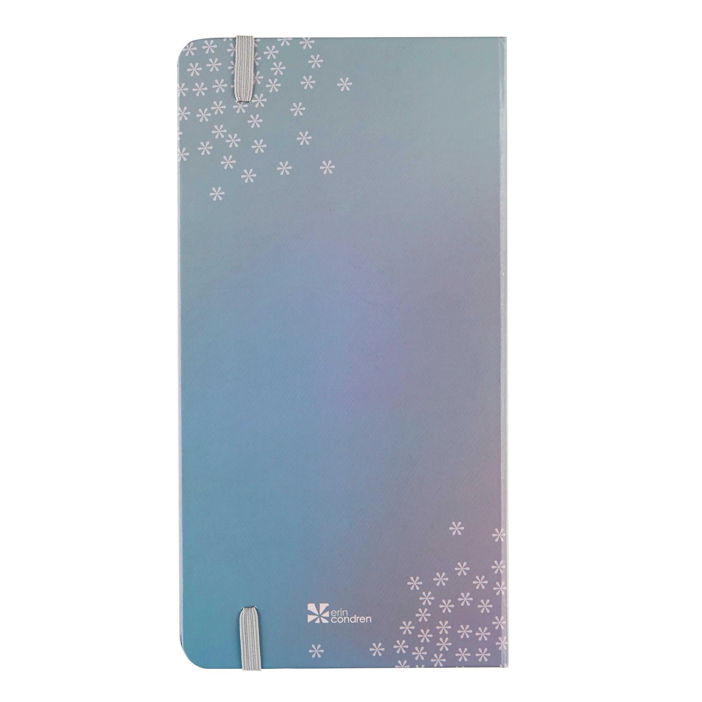 Erin Condren Weekly Budget Notebook - Hardbound Petite