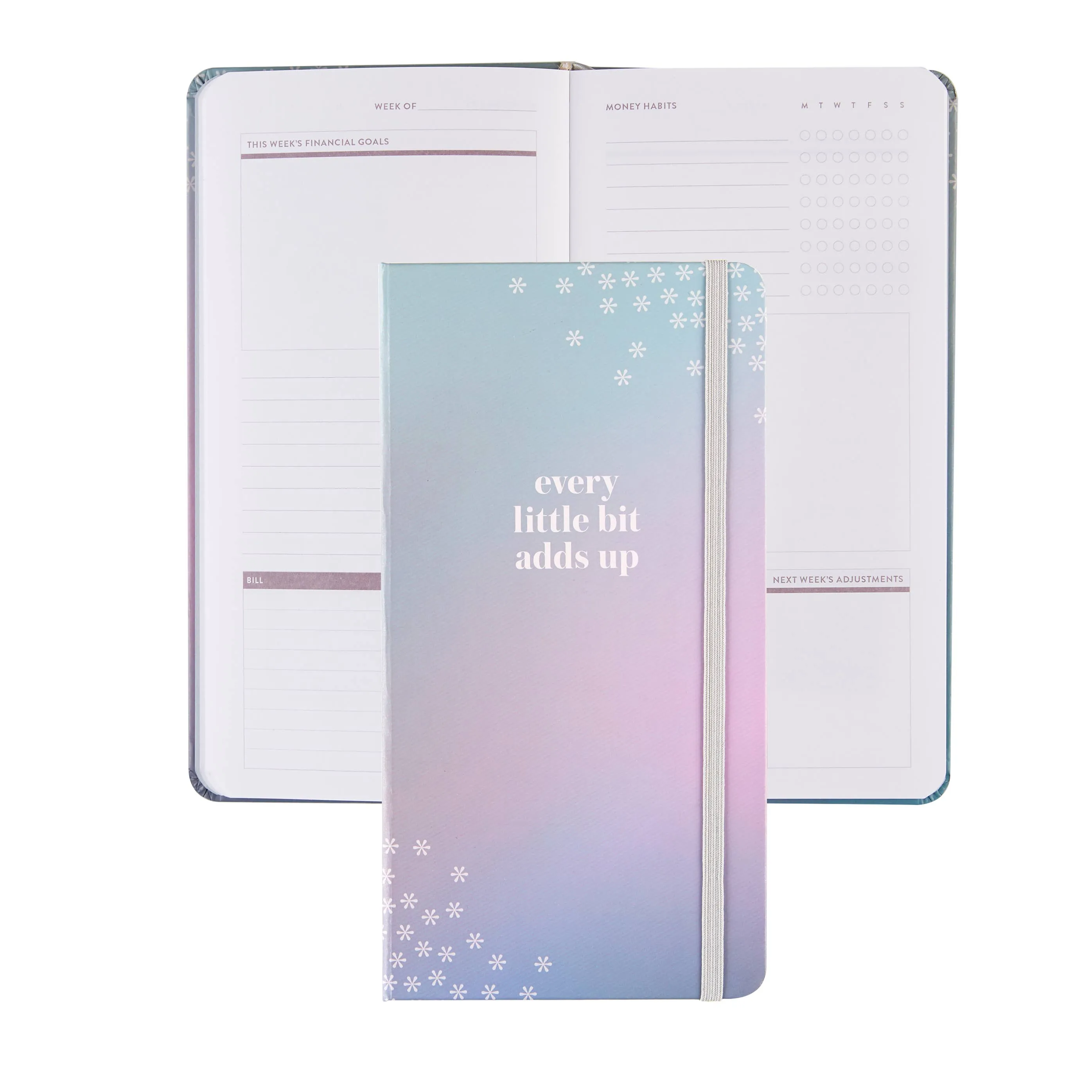 Erin Condren Weekly Budget Notebook - Hardbound Petite