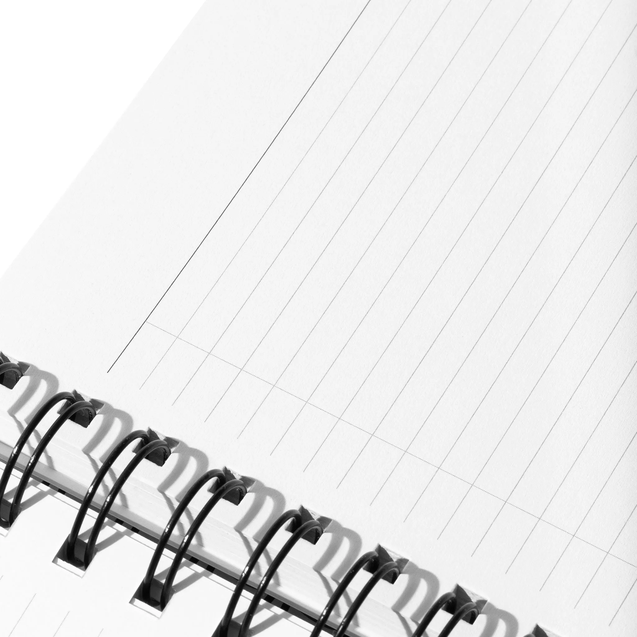 Exotic Spiral Notebook | CP Petite