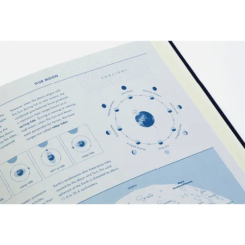 Grids & Guides (Navy)