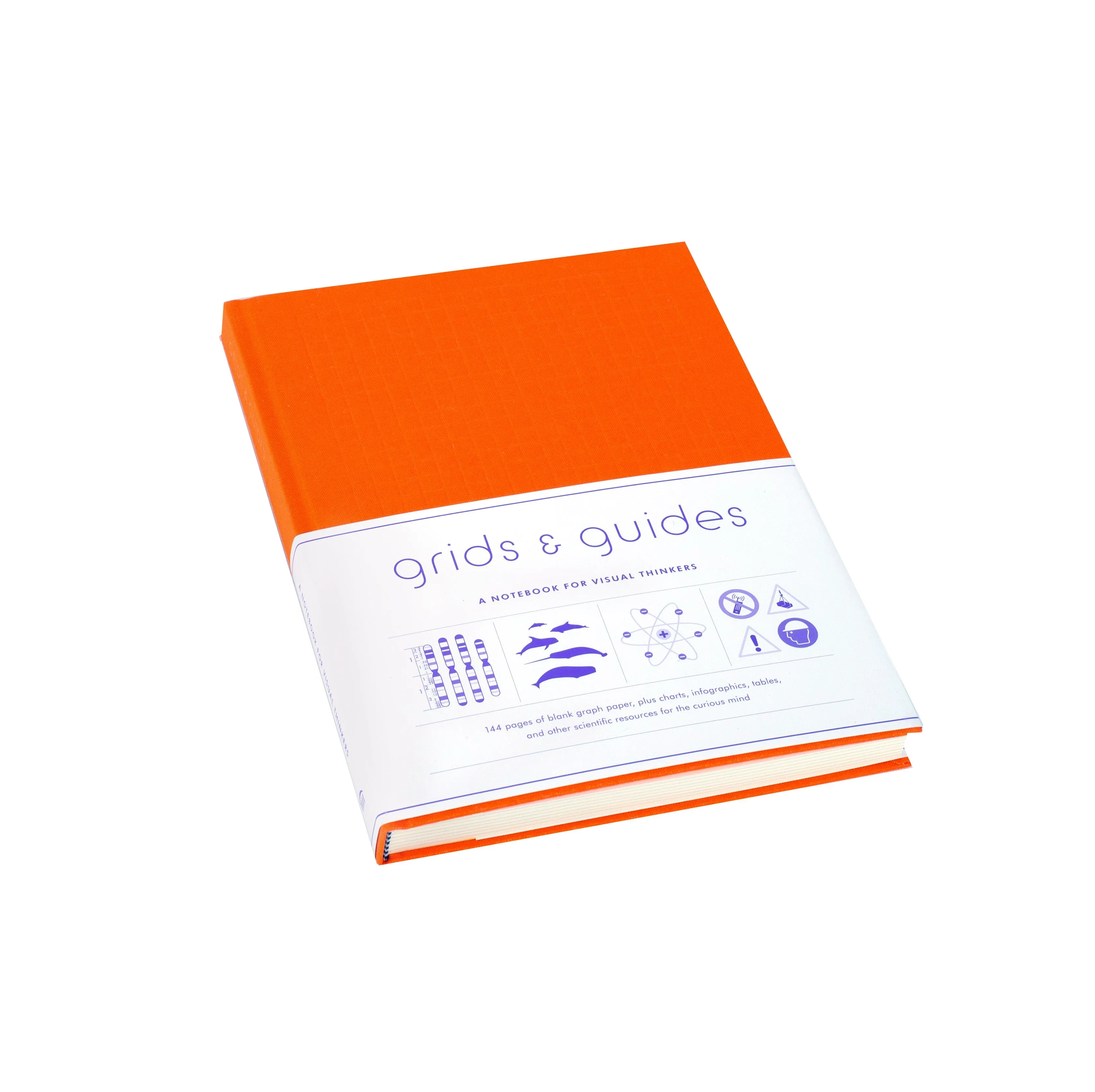 Grids & Guides Orange