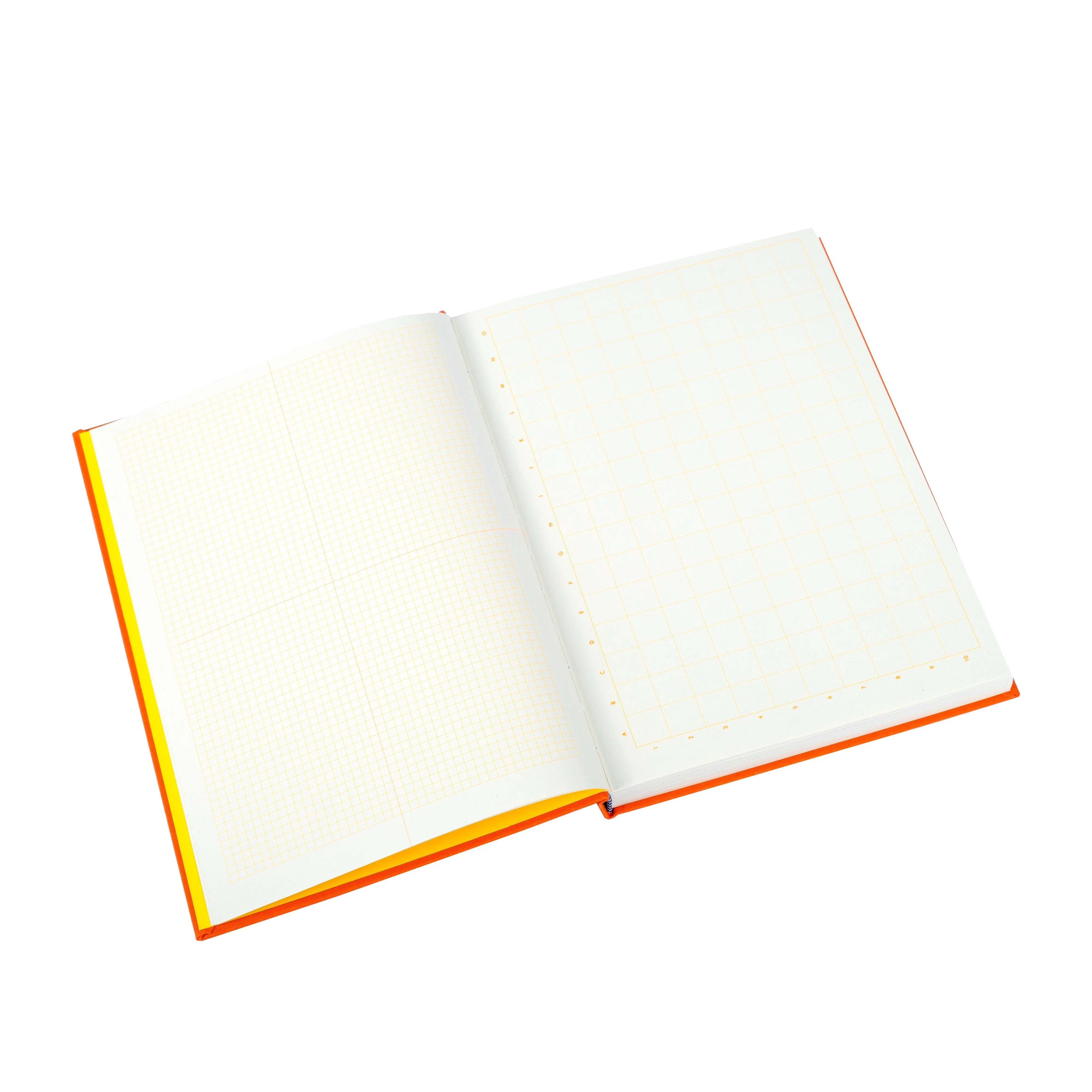 Grids & Guides Orange