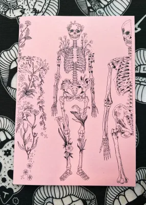 Lies and Secrets Notebook