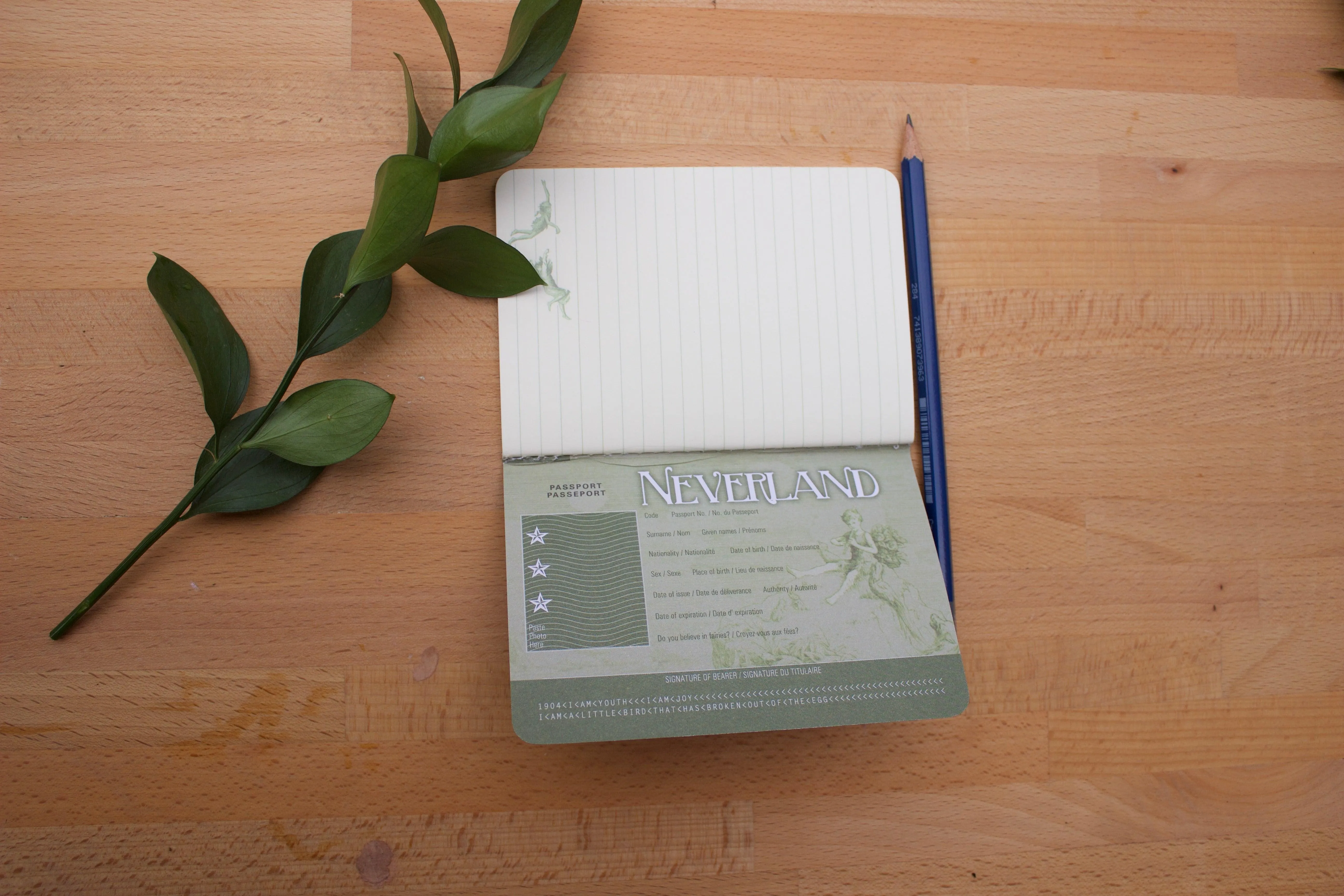 Passport to Neverland Notebook