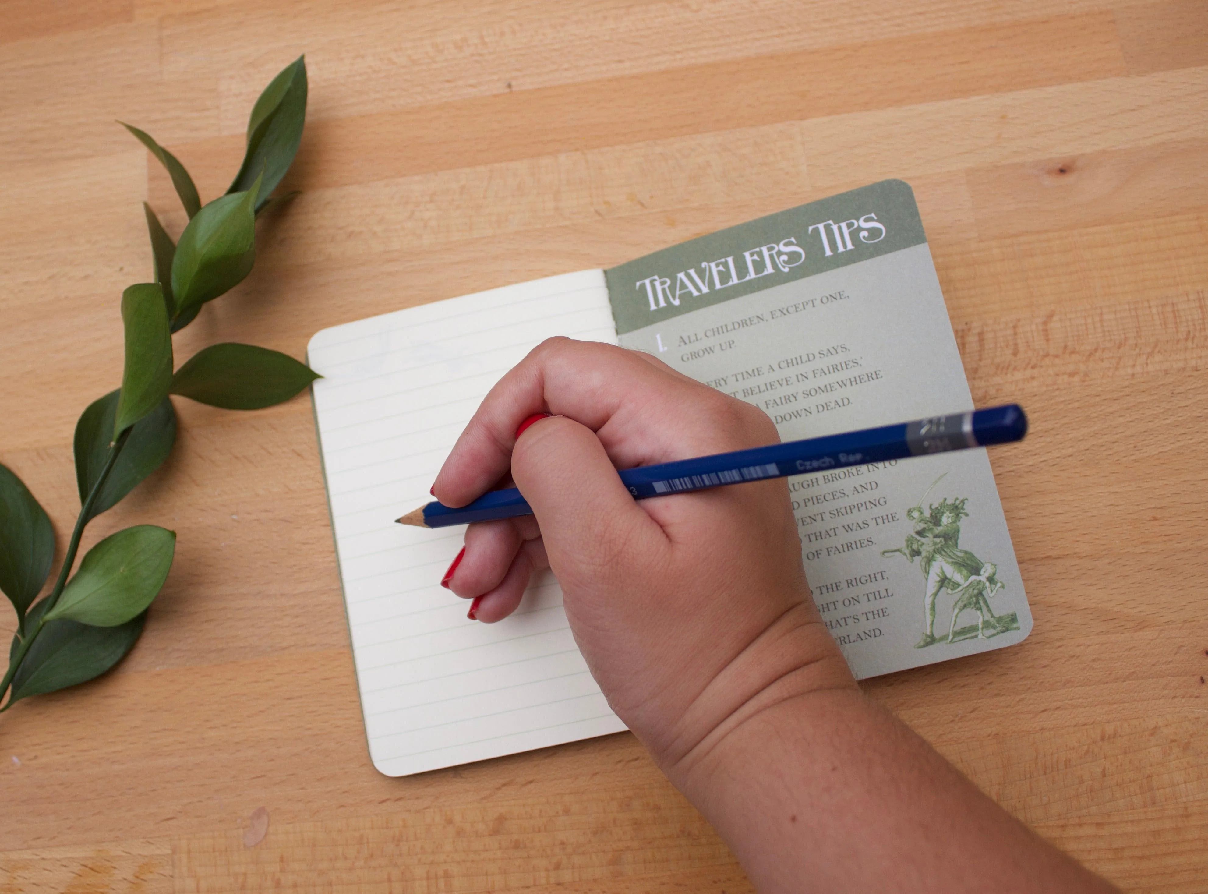 Passport to Neverland Notebook