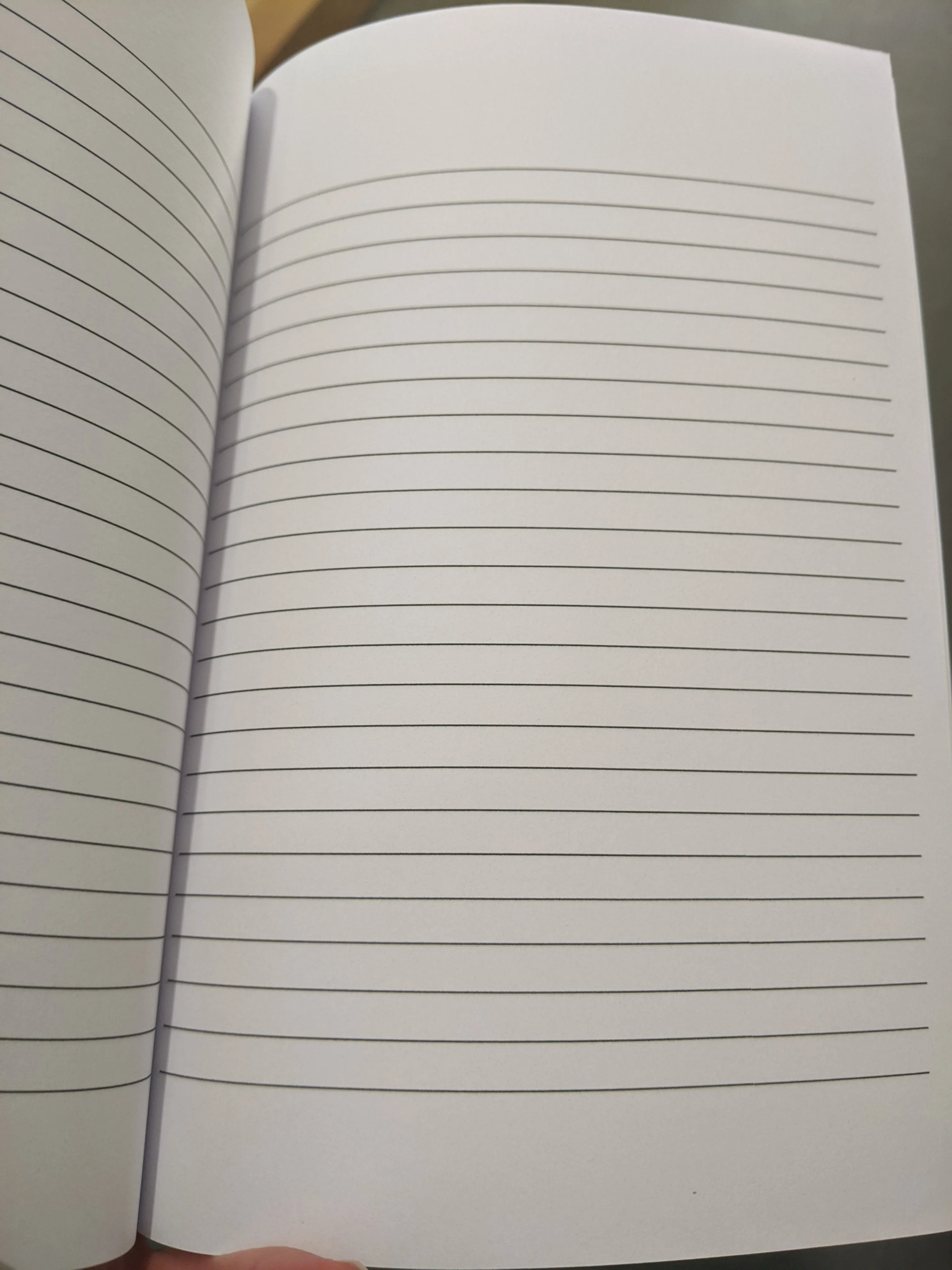 Quirky Skull Notebook - ruled pages