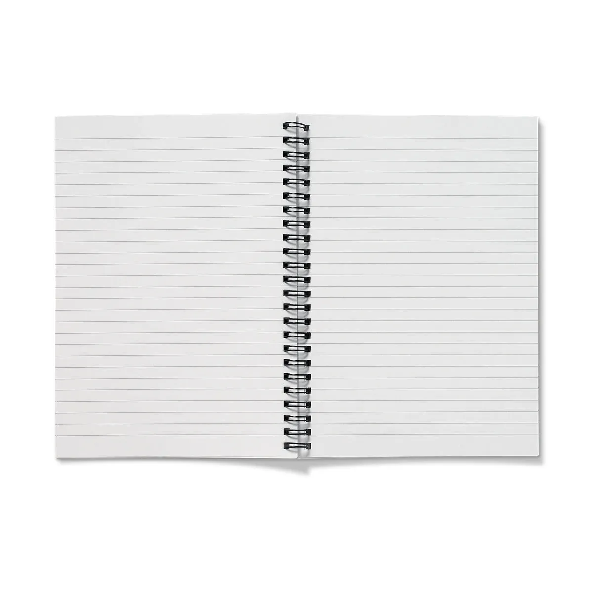 Robin Notebook
