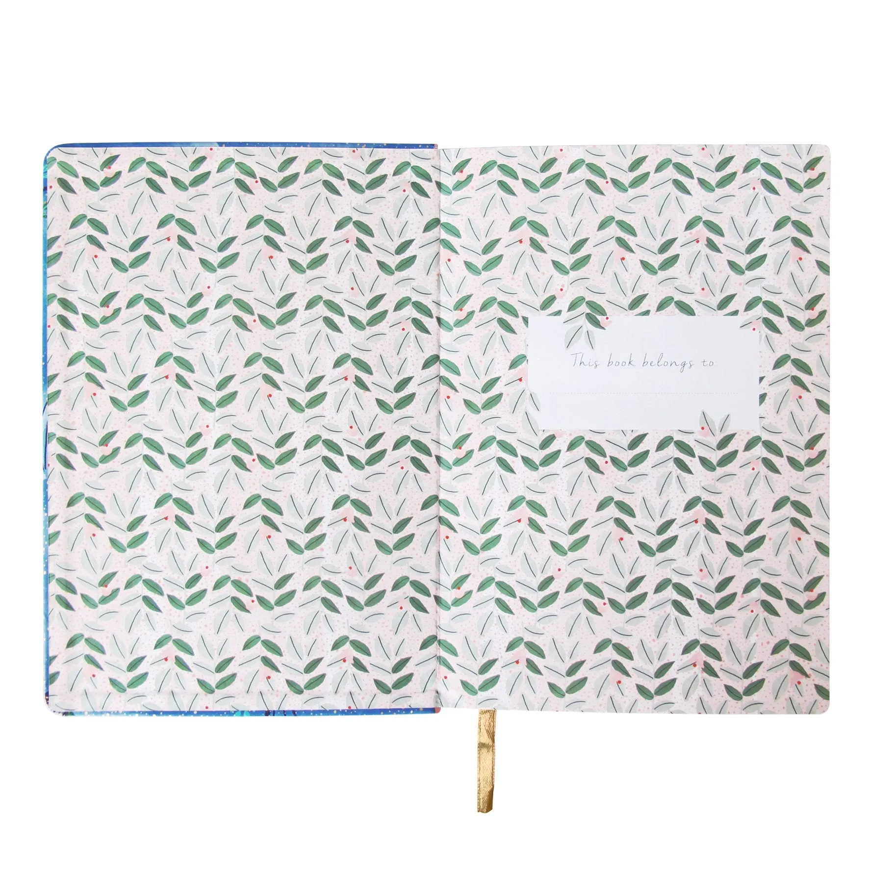 Secret Garden Swan Notebook