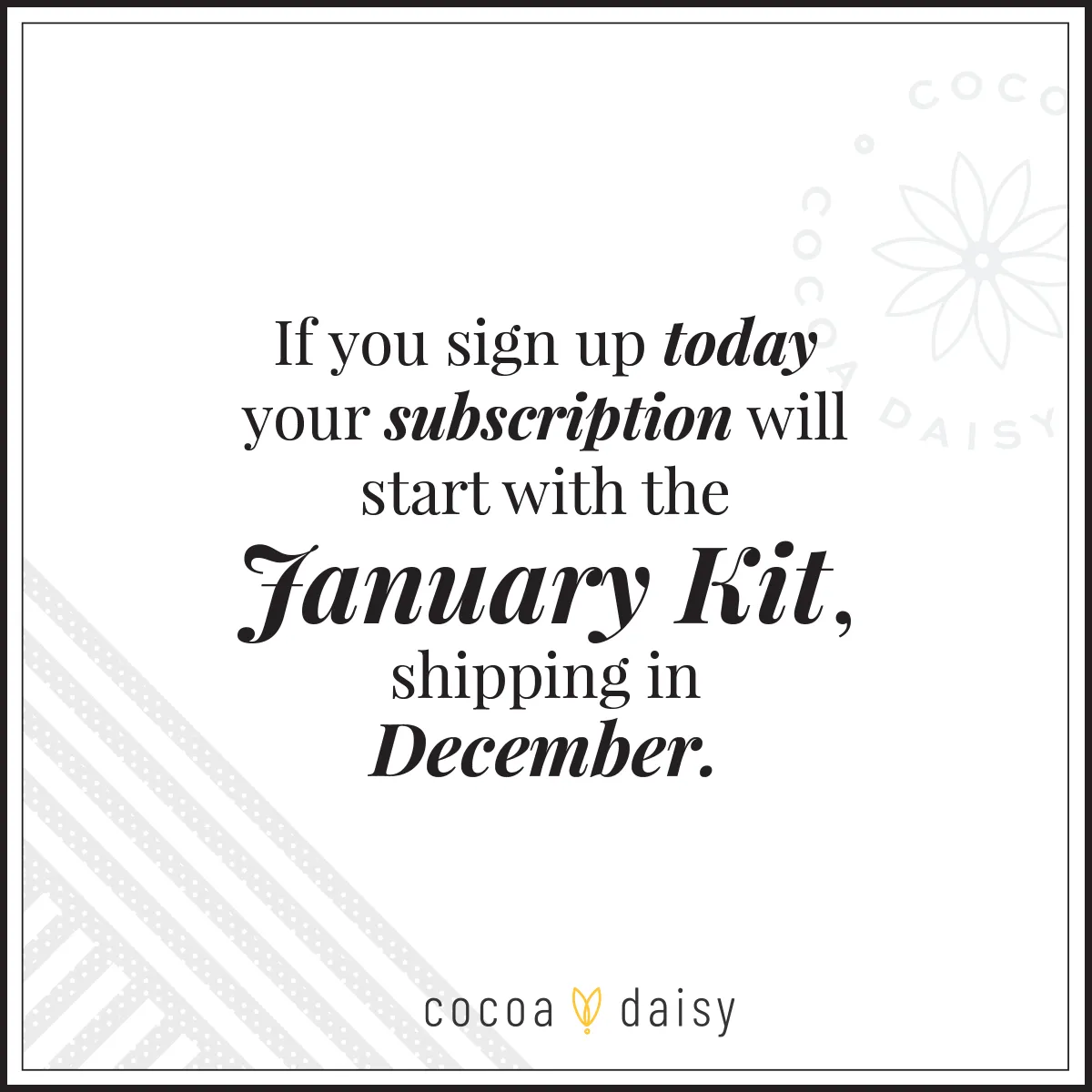 SimpleDaisy Notebook Subscription - 1 month