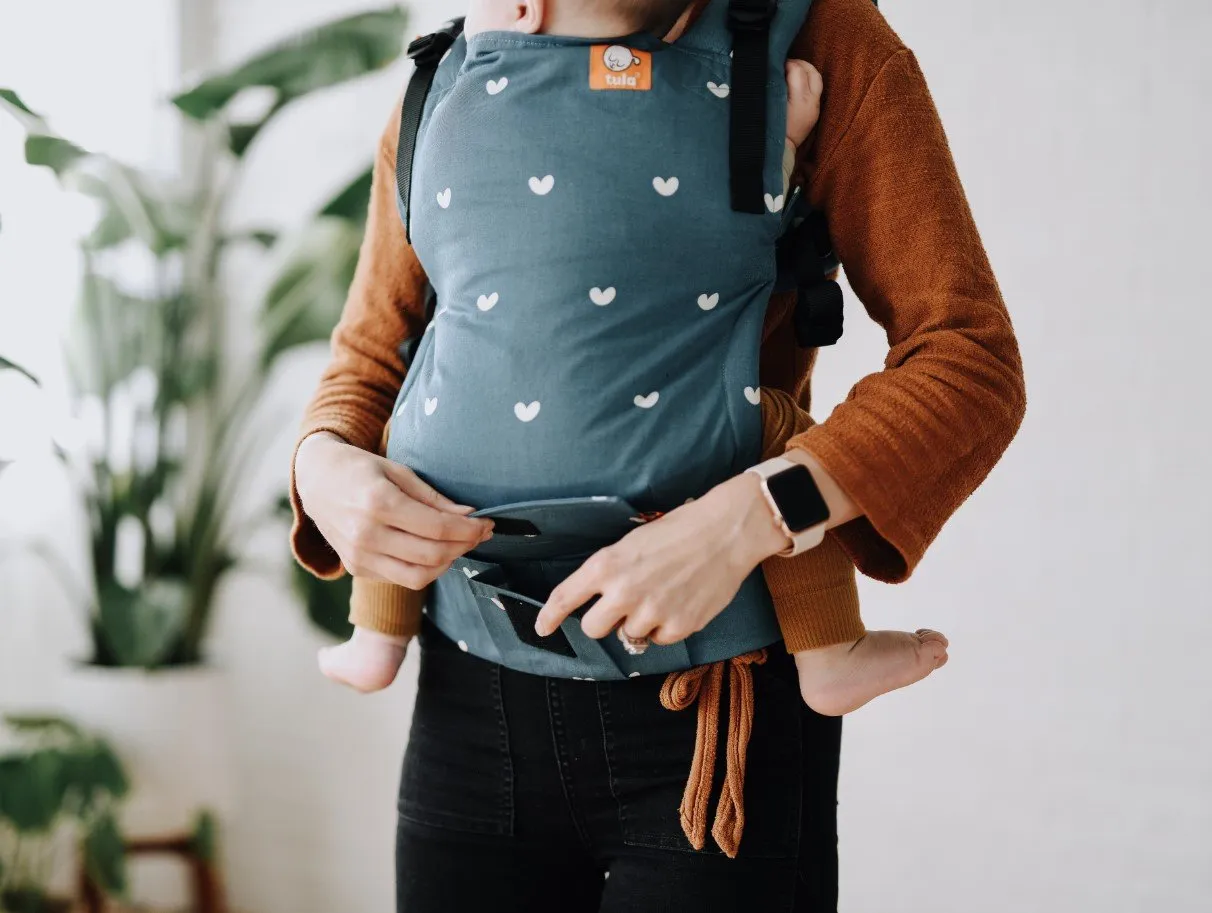 Tula Free-To-Grow Carrier - Playdate